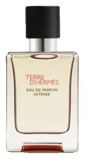 Hermès Terre d'Hermès Eau de Parfum Intense